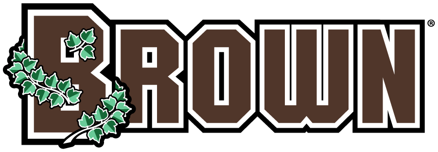 Brown Bears 2018-Pres Wordmark Logo DIY iron on transfer (heat transfer)